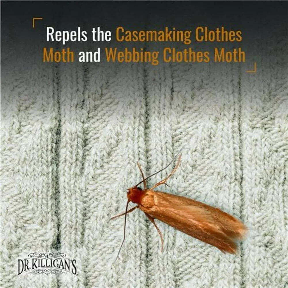 Cedarwood Planks 10 Pack Natural Moth Repellent Closet Drawer Clothes Protection
